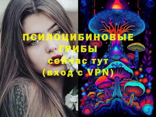 марки lsd Верхний Тагил